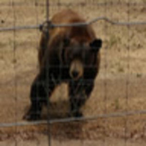 Meet your Posher, Carly